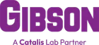 Gibson Dental Designs